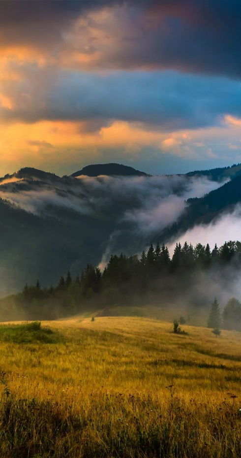 Україна в серці (Ukraine in the Heart)
